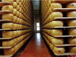 parmigiano