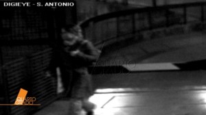 foto amanda