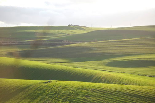 parco dellalta murgia