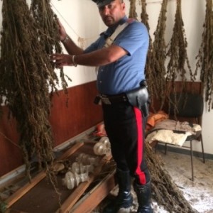 carabinieri droga