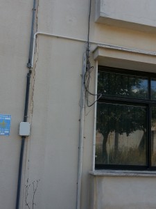 erbacce scuola 17