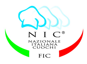 NIC-logo