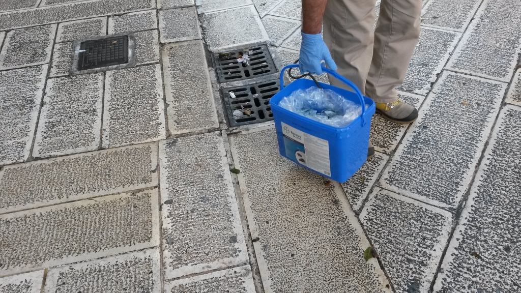 derattizzazione centro storico