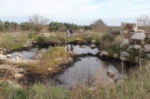 parco discoteca discarica