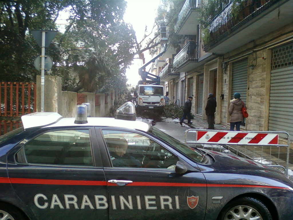 rimozione albero via petrarca