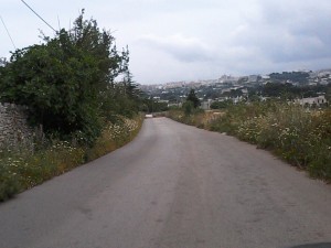 erbacce strada madonna arco