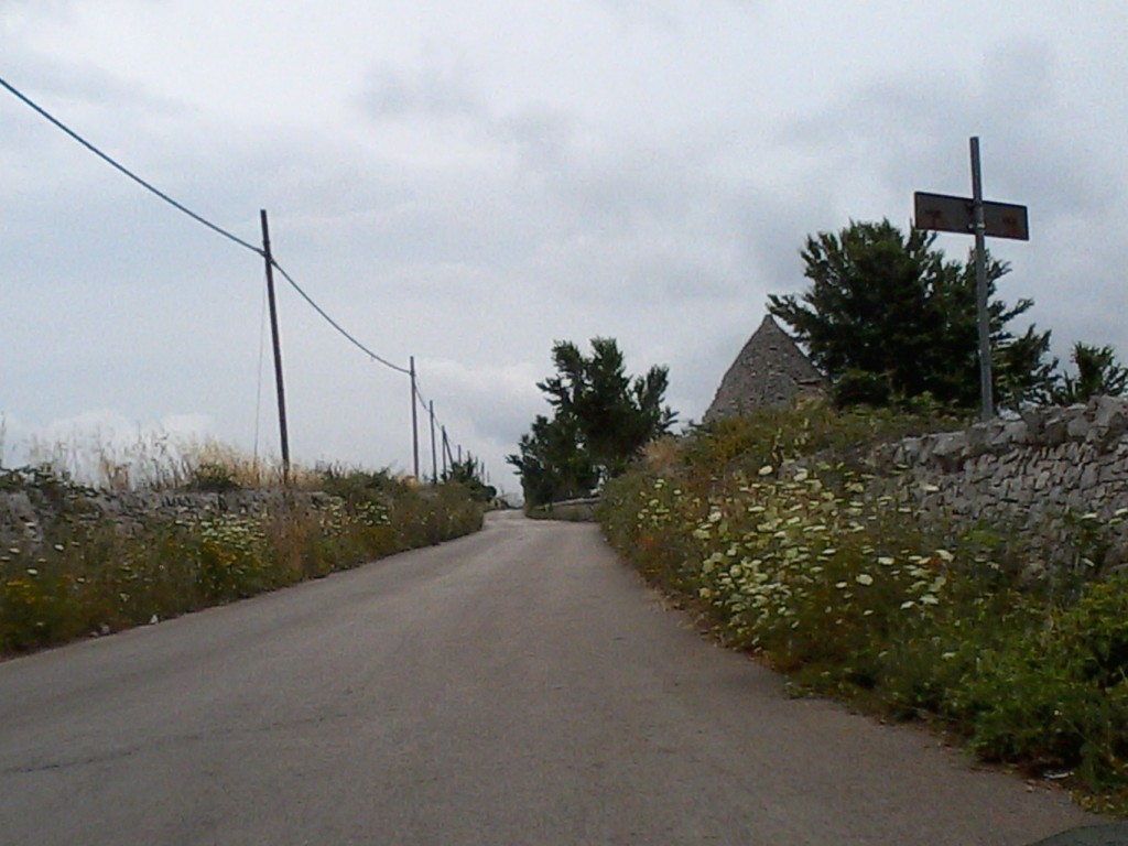 erbacce strade madonna arco