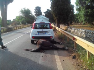 incidente montalbano 1