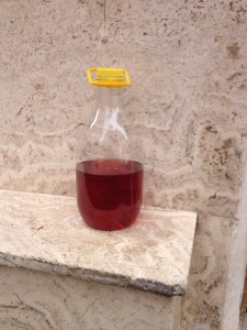 bottiglia grottaglie 1