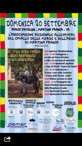 manifestazione cavalli domenica