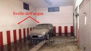 auto a mollo