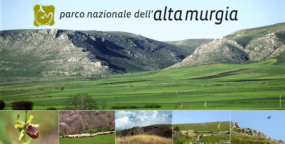Alta Murgia Park: Schutz der biologischen Vielfalt, synthetische Nahrung und Wildschweinüberfälle verboten