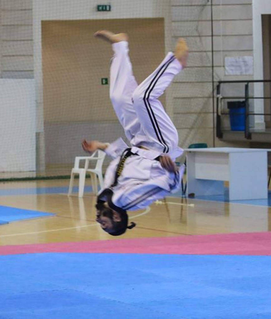 taekwondo3