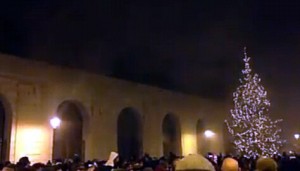 albero di natale bari 2015 1