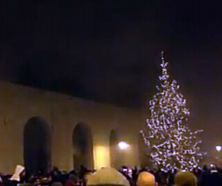 albero di natale bari 2015 2