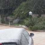 corato neve