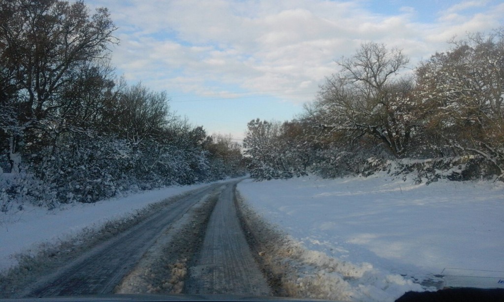 martina mottola neve 19 gennaio 2016