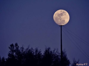 luna palo della luce