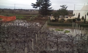 martina franca-locorotondo campo allagato