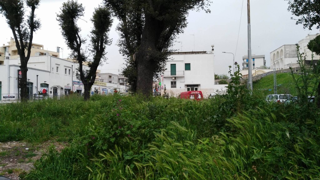 martina franca erbacce