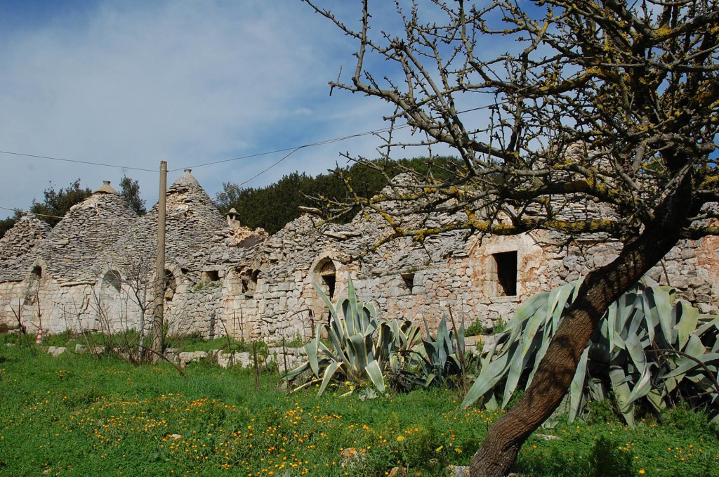 masseria storica in Oasi WWF Monte Sant Elia 1