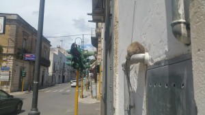 IMG-20160515-WA0000