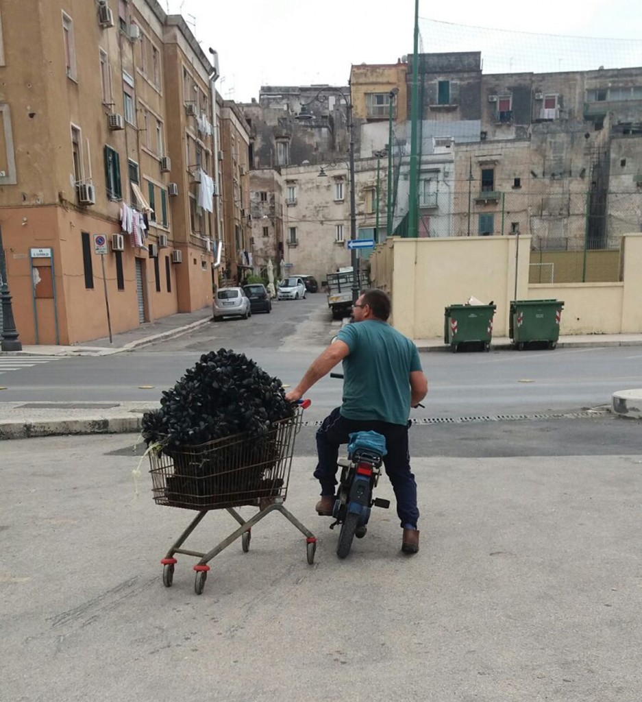 taranto cozze 1