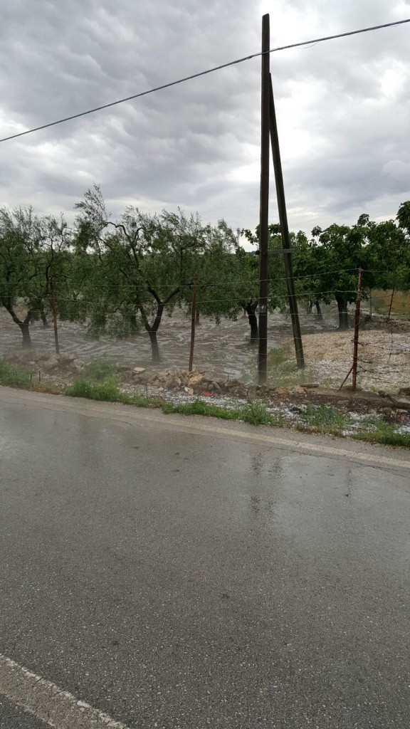 Campi imbiancati a Quasano