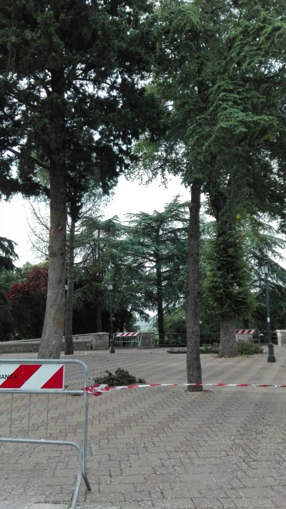 transenne carmine
