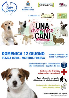 una domenica da cani