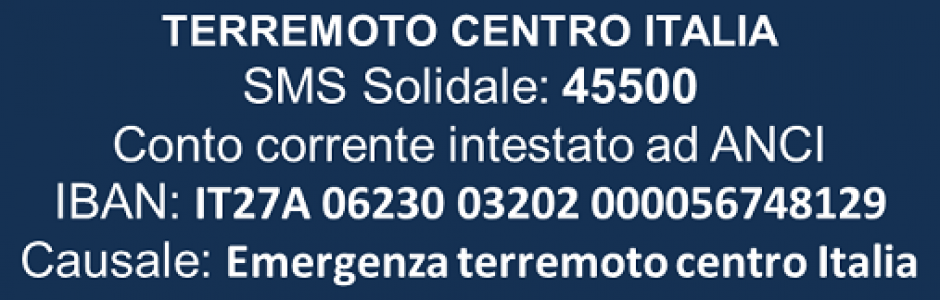 terremoto DONAZIONI 940x300