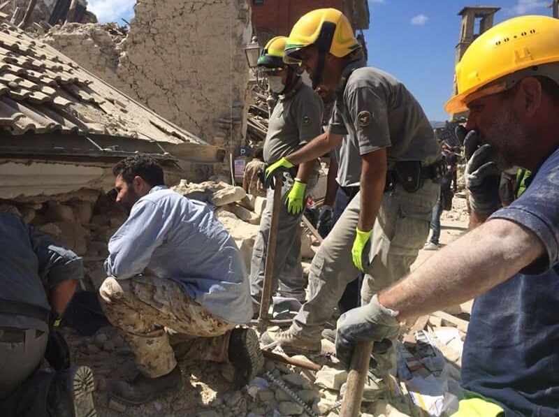 terremoto forestale pugliese 3