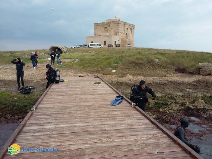 torre guaceto sea shepherd