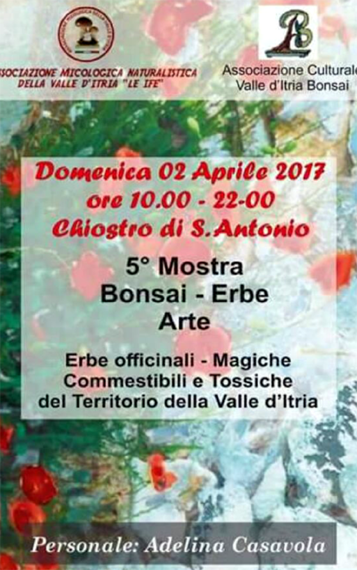 martina mostra bonsai 2017 1