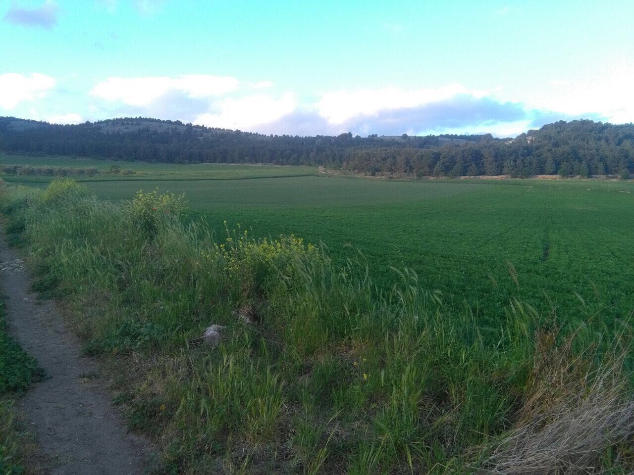 Puglia agricoltura 