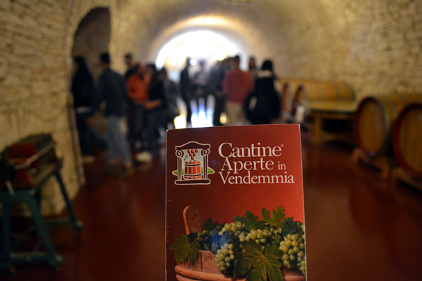 cantine aperte in vendemmia