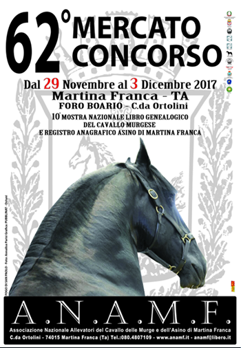 martina mercato concorso novembre 2017