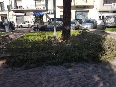 image resize.php