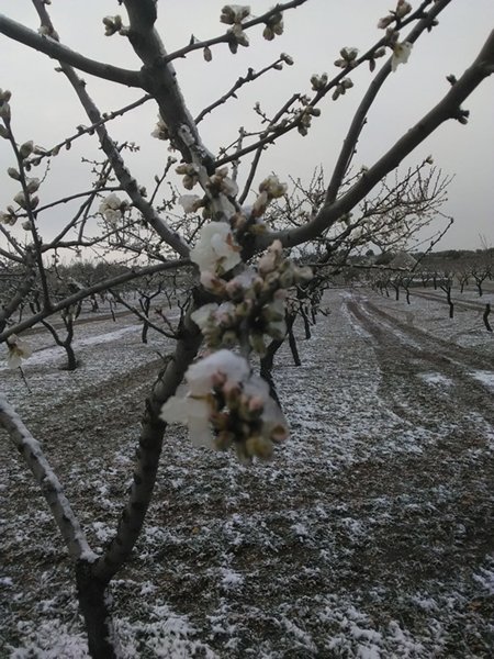 maltempo 28 febbraio 2018