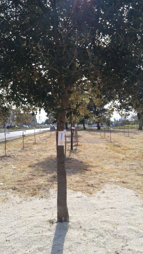 taranto foresta urbana
