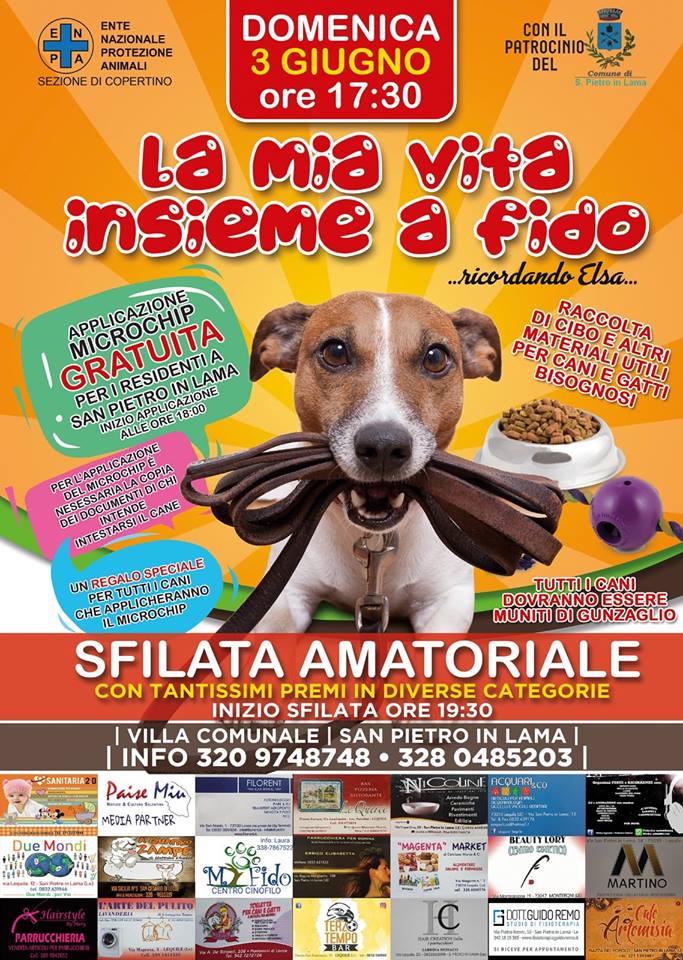La mia vita insieme a Fido