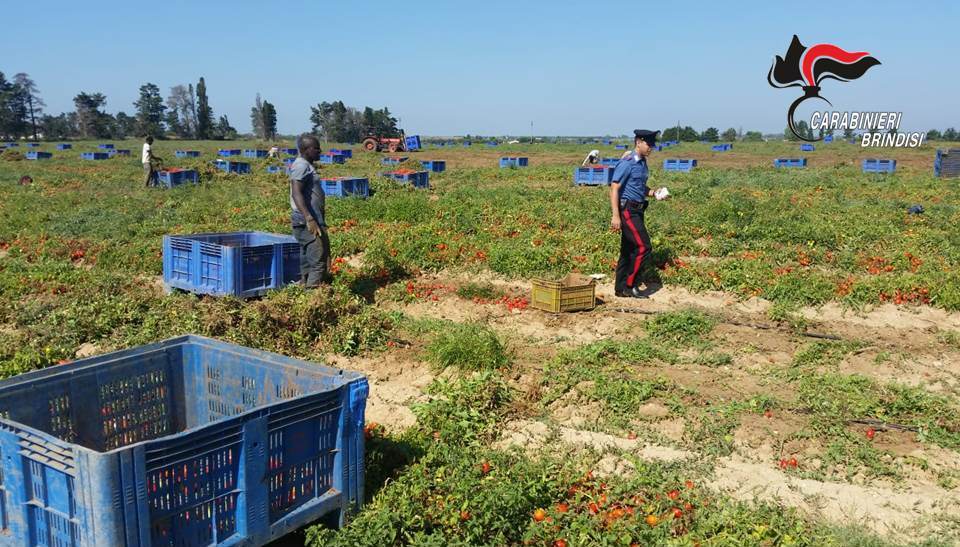 Controlli aziende comparto agricolo 2