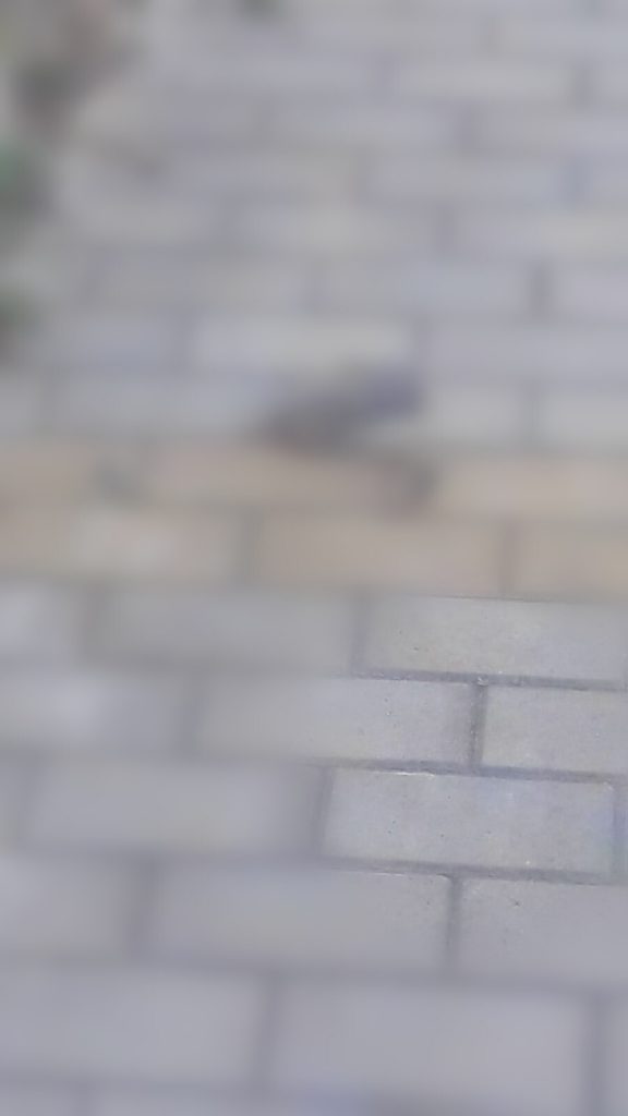 IMG 20180725 122318