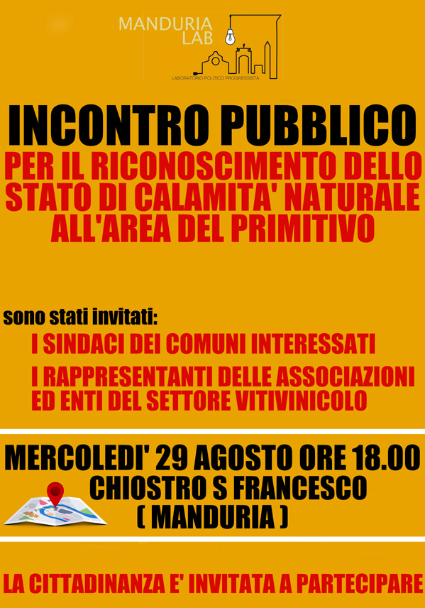 Incontro pubblico 29 Agosto Manduria Lab