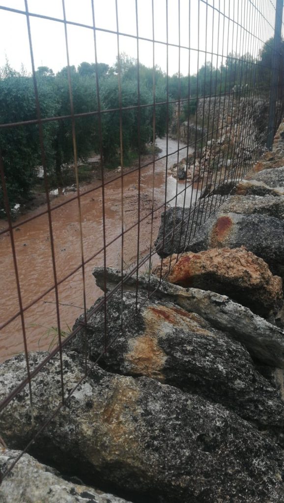 puglia maltempo danni