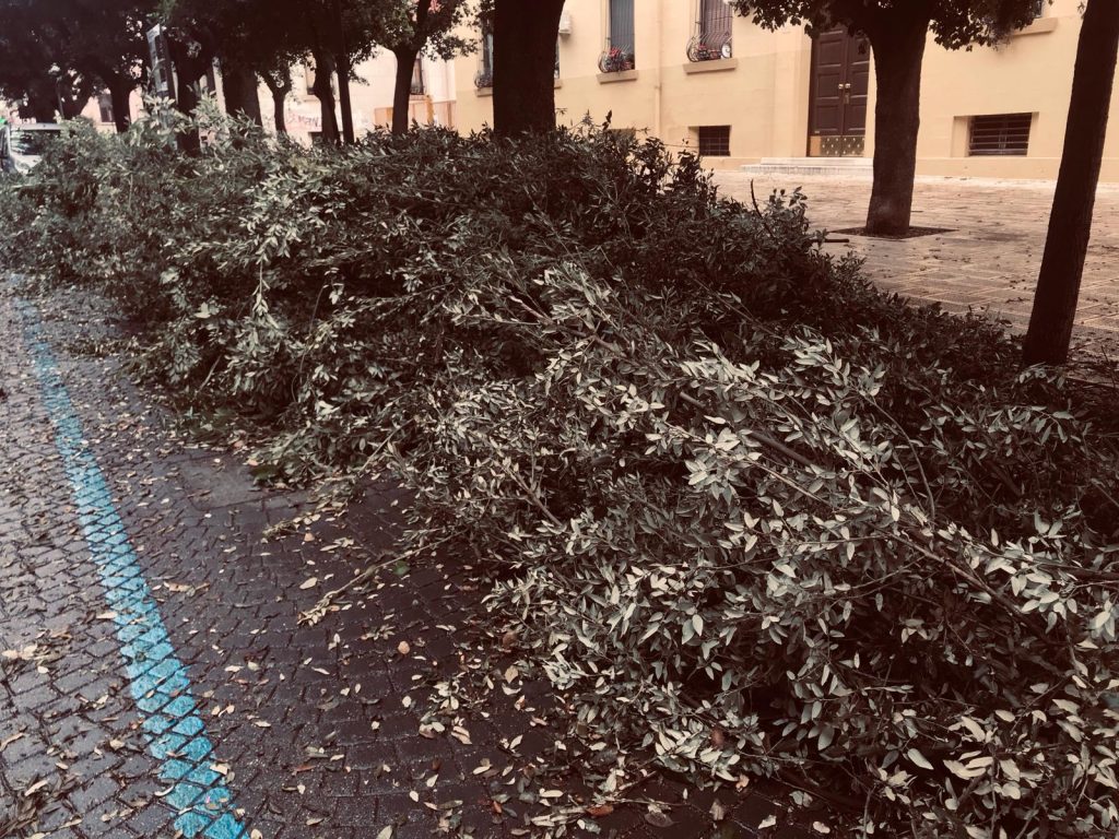 IMG 20181120 WA0008
