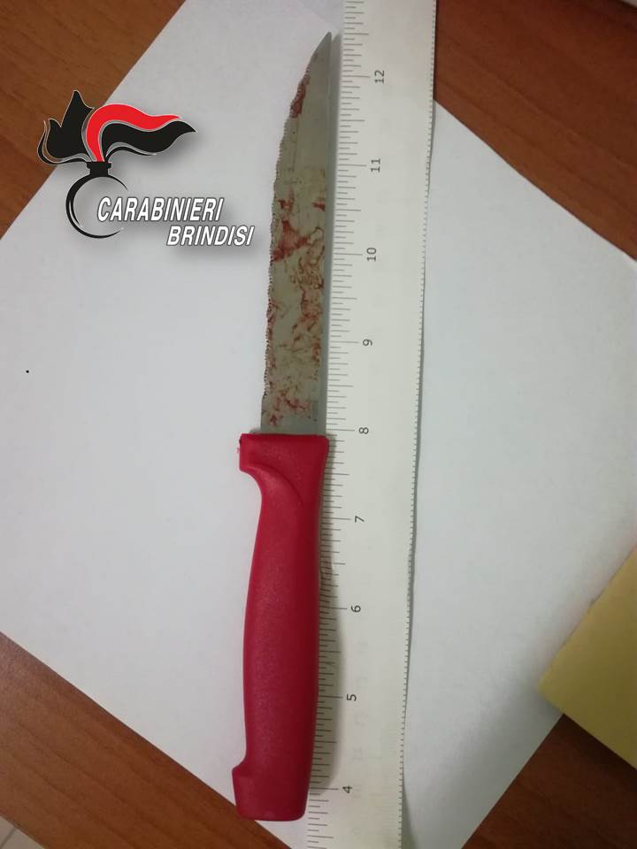 Foto coltello arresto Fanizza Maria