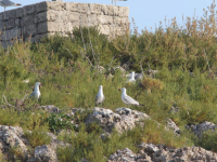 IMG 20190705 123718