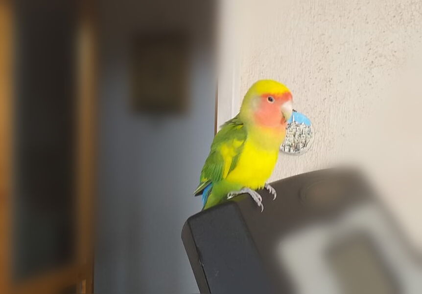 IMG 20190708 162847