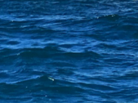 IMG 20190716 111959